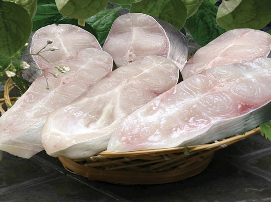 CÁ TRA CẮT KHÚC